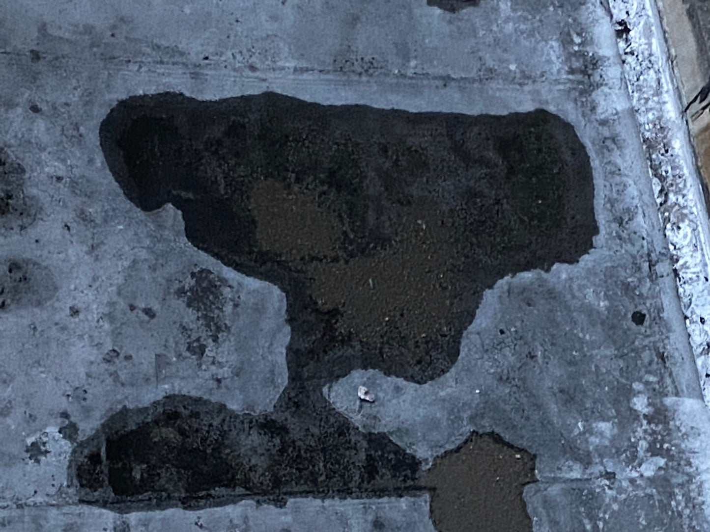 Dang Ass Freak Sweatpants