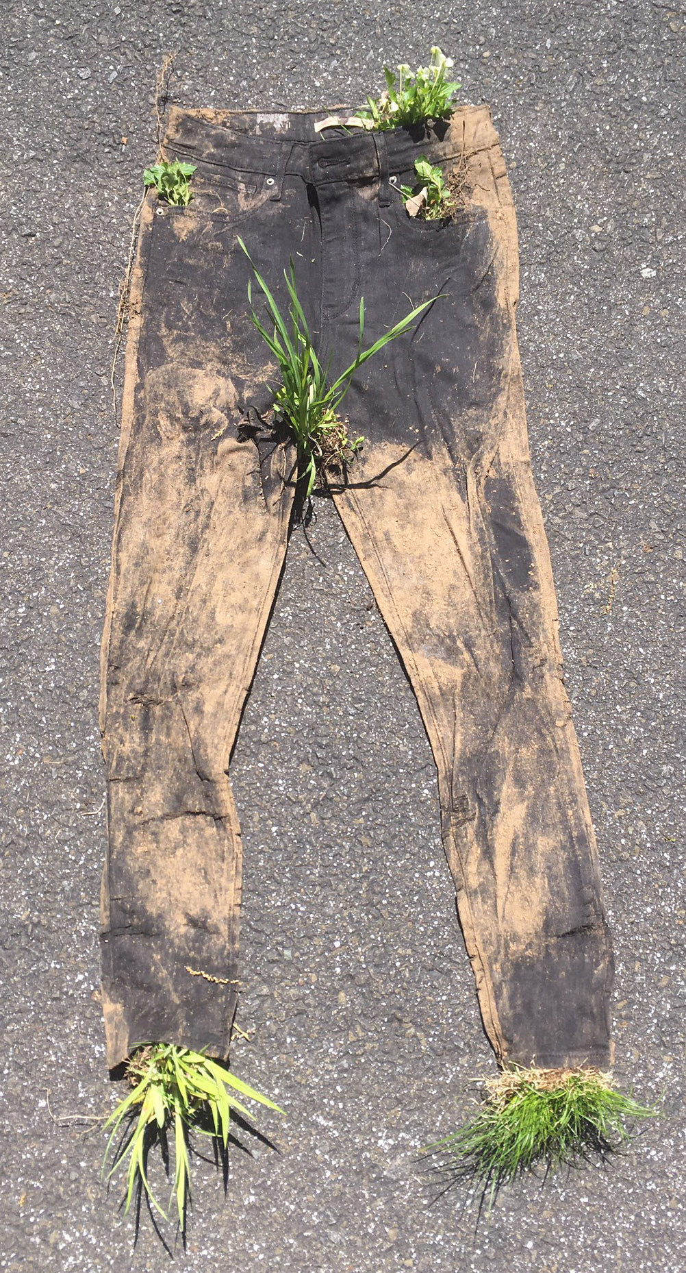 Buried Levi's® Women's 721 High Rise Skinny Jeans 29W x 28L