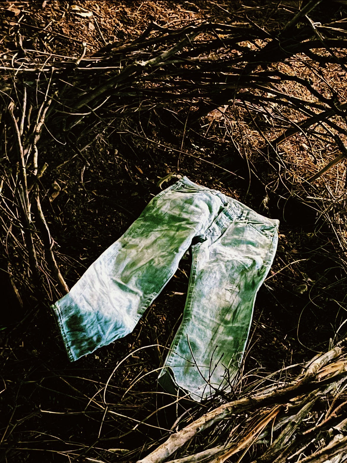Buried Levi's® Men's 501® '54 Original Fit Men's Jeans 32W x 30L Located About 20 Miles Northeast of Denver, CO