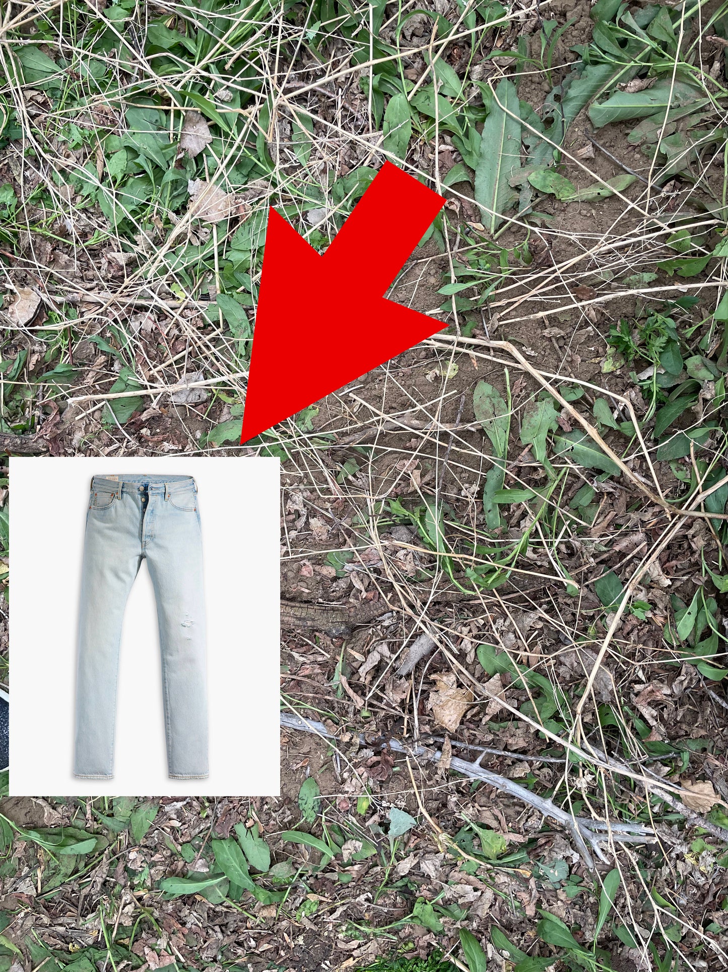Buried Levi's® Men's 501® '54 Original Fit Men's Jeans 32W x 30L Located About 20 Miles Northeast of Denver, CO