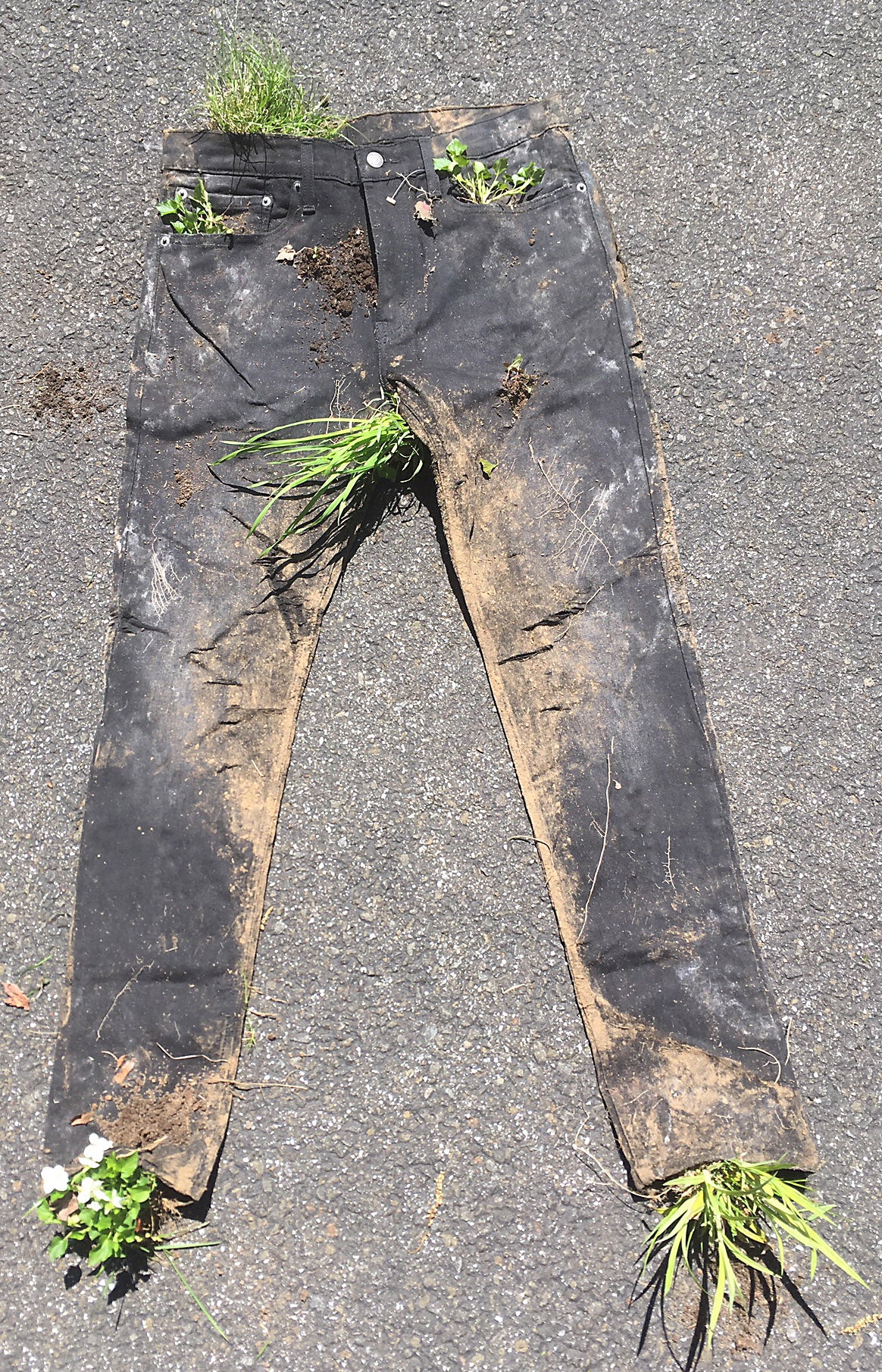 Buried Levi's® Men's 512 Slim Tapered Jeans 34W x 32L
